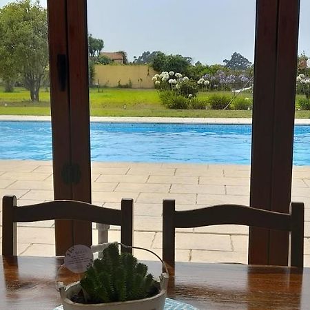 Casa Afonso - Passadicos Do Paco Hotel Aveiro Eksteriør billede