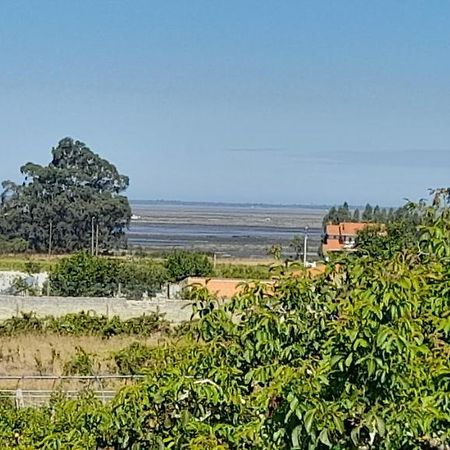 Casa Afonso - Passadicos Do Paco Hotel Aveiro Eksteriør billede