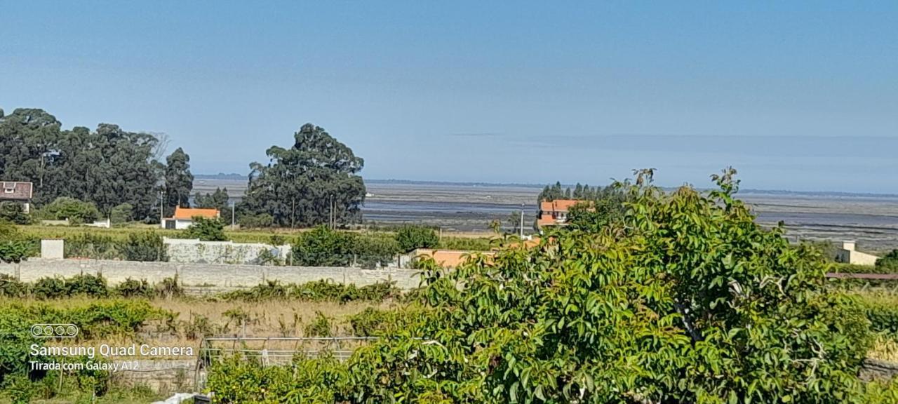 Casa Afonso - Passadicos Do Paco Hotel Aveiro Eksteriør billede